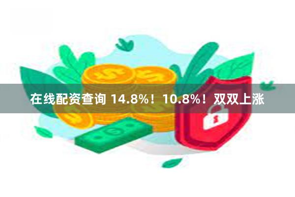 在线配资查询 14.8%！10.8%！双双上涨