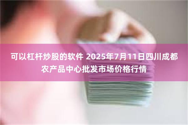 可以杠杆炒股的软件 2025年7月11日四川成都农产品中心批发市场价格行情