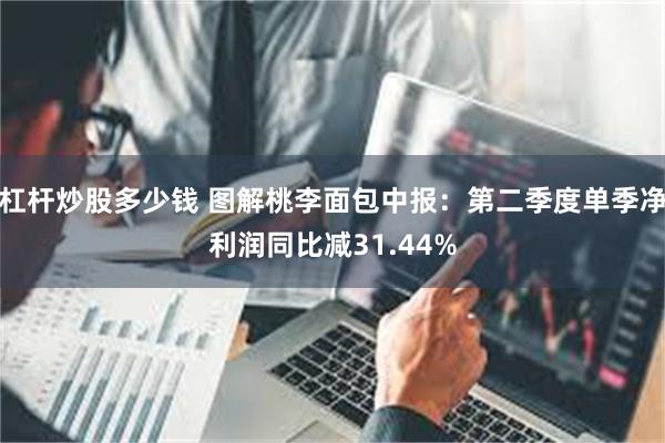 杠杆炒股多少钱 图解桃李面包中报：第二季度单季净利润同比减31.44%
