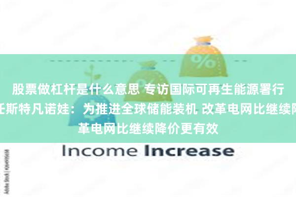 股票做杠杆是什么意思 专访国际可再生能源署行动联盟主任斯特凡诺娃：为推进全球储能装机 改革电网比继续降价更有效